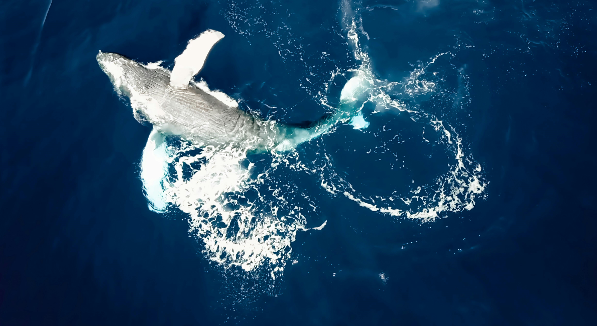 자연기술센터 이미지 01